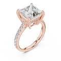 Princess And Round Brilliant Moissanite VVS1 Eternity Engagement Ring
