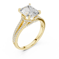 Princess And Round Brilliant Moissanite VVS1 Eternity Engagement Ring