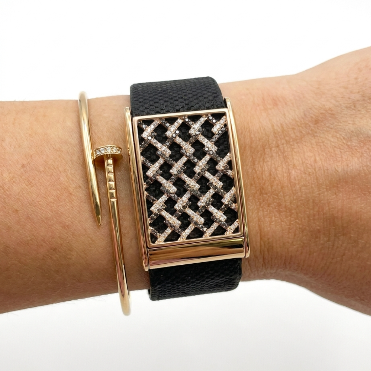 Whoop Stone Case Luxury Statement Belt For Women